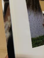 光に魅せられて　全日本写真連盟浜田支部写真集