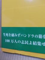 日本十二単衣共生文明・文化のもと国づくり・人づくり ビッグバンを起こせ