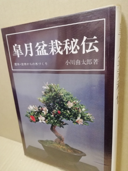 希少入手困難 皐月盆栽秘伝 若木・古木からの木づくり-