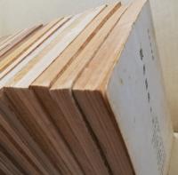 教學叢書　1-16輯+特輯1-4篇　20冊揃