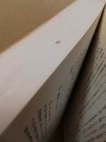 子どもの随筆/あてんしょん・ぷりいず