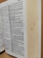 A Portuguese-English Dictionary.