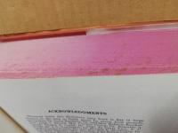 A Portuguese-English Dictionary.