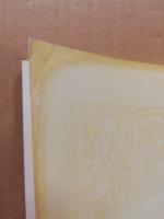 Autorität und Freiheit