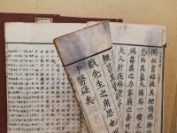 和蘭内景医範提綱　3册揃