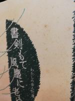 書剣もて風塵に老ゆ : わたしの歩んだ道
