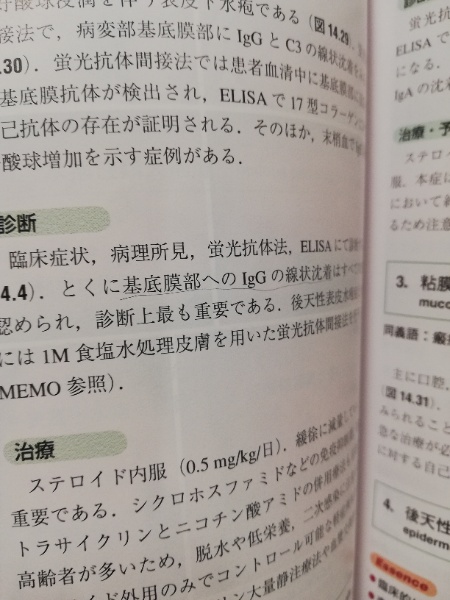 あたらしい皮膚科学 | 清水宏 著 | 中山書店 | ¥800 - 日本の古本屋