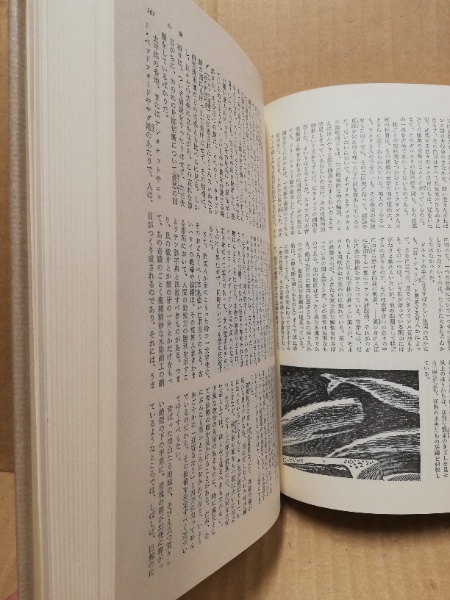 メルヴィル 筑摩世界文学大系36(阿部知二 訳) / (広島)大学堂
