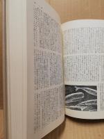 メルヴィル　筑摩世界文学大系36