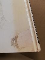 L'Enfant qui croyait aux licornes