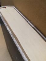 図説骨折・脱臼の管理　2