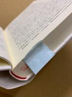 日本とドイツの教師教育改革 : 未来のための教師をどう育てるか