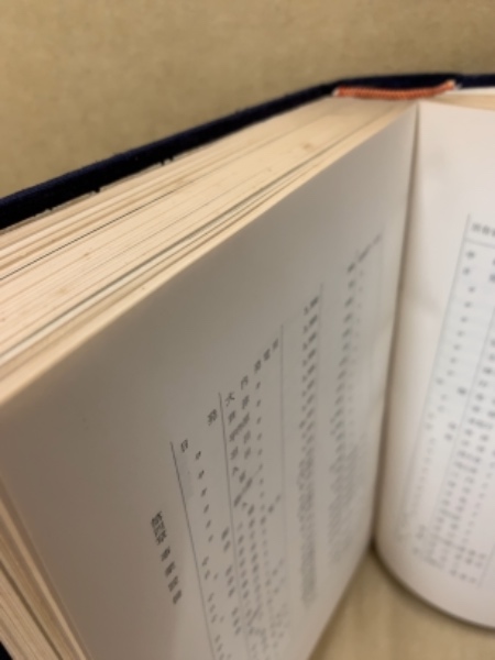 中国配電株式会社十年史(山本 勇 編) / (広島)大学堂書店 / 古本