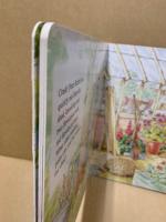 Peter Rabbits Lift-the-Flap Book of Words, Colours & Numbers
