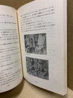 豊かな表現を求めて 低学年編