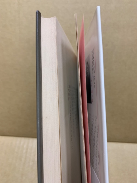 一年一組せんせいあのね : 詩とカメラの学級ドキュメント(鹿島
