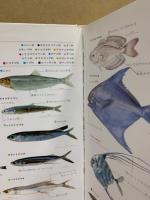 魚・貝