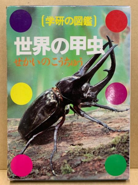 2023年 カレンダー むし社 昆虫 クワガタ カブトムシ 日本固有種