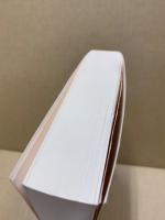 近代文学史の構想 : 日本近代文学研叢