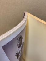 法隆寺展 : 聖徳太子千三百六十年御諱記念
