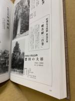 備北の伝承 : 庄原・三次・比婆・双三・総領地方文化財・民俗・伝説写真集
