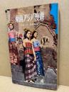 東南アジア漫遊　（難有） ＜海外旅行新書＞