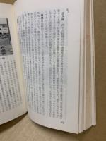 東南アジア漫遊　（難有）