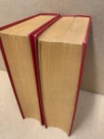 Der Idiot : Roman 2 vols