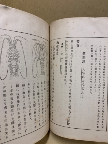 尋常小學理科書 : 教師用(文部省著) / (広島)大学堂書店 / 古本