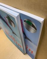 Delfin : Zweibändige Ausgabe : Lehrbuch , Teil 1・2 : Lektionen 1-10・11-20　2冊