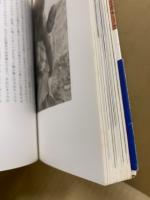 サバンナの王国　ある作られた伝統のドキュメント