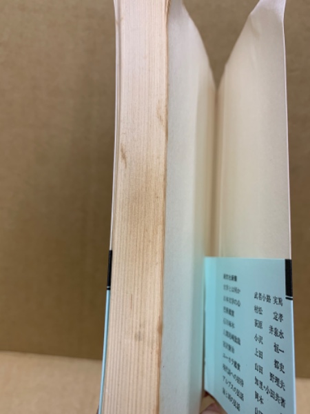 草木塔 : 山頭火俳句集(種田山頭火 著) / 古本、中古本、古書籍
