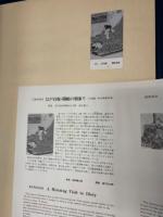 秘蔵艶美浮世絵名画撰  : 江戸伝承大錦手摺木版画 　全18巻36図揃