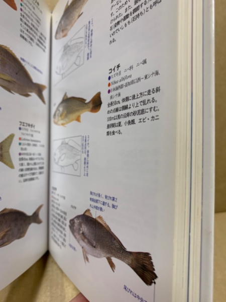 詳細図鑑さかなの見分け方(講談社ペック編集) / 古本、中古本、古書籍