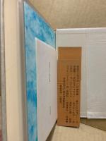 憂愁の見者　続塚本邦雄論