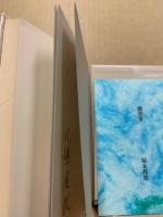 憂愁の見者　続塚本邦雄論