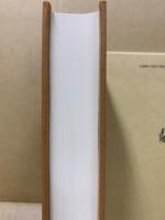 難字・異体字典