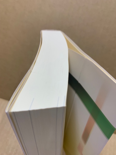 Amazon.co.jp: 詳説 入管法の実務－入管法令・内部審査基準