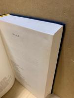 Der verratene Himmel. Roman