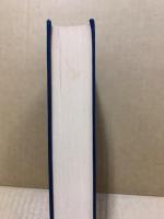 Der verratene Himmel. Roman