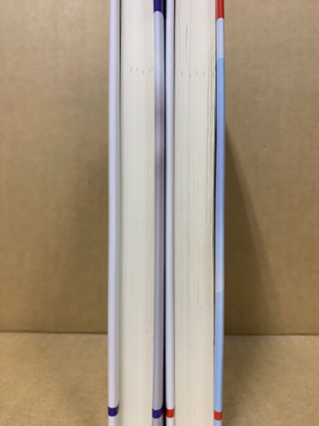 クリティカルシンキング 入門篇・実践篇 2冊(E.B.ゼックミスタ