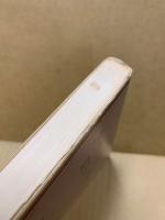 梁塵秘抄の風俗と文芸