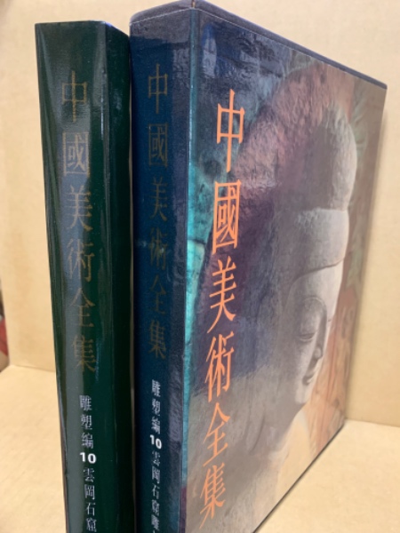 中国美術全集 雕塑編10 雲岡石窟雕刻(宿白ほか編) / 古本、中古