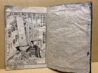 咲分錦の山 全