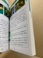 野の花ズームアップ