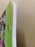 野の花ズームアップ