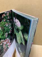 花のアルバム : 広島県の自生植物
