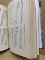 ラバウル : 第204海軍航空隊戦記