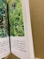 もみのき森林公園植物と動物