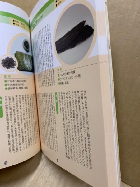 食効 : 薬用植物学から見た食材の効用 : 薬食同源(水野瑞夫, 櫻井宏起